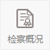 检察概况.png